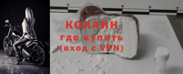прущие грибы Медногорск